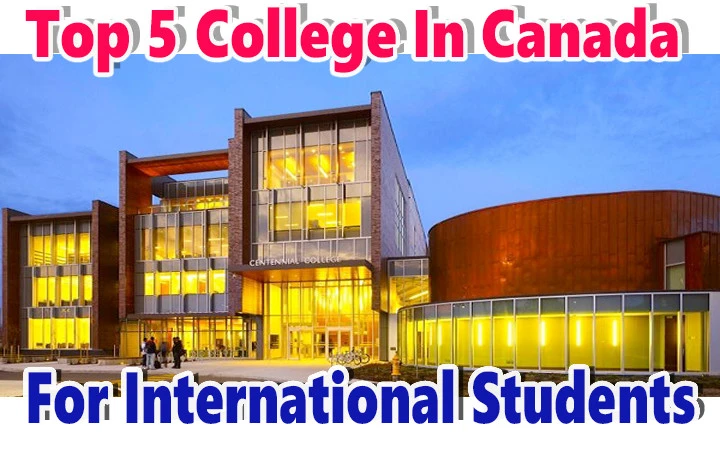 Top 5 Colleges For International Students In Canada